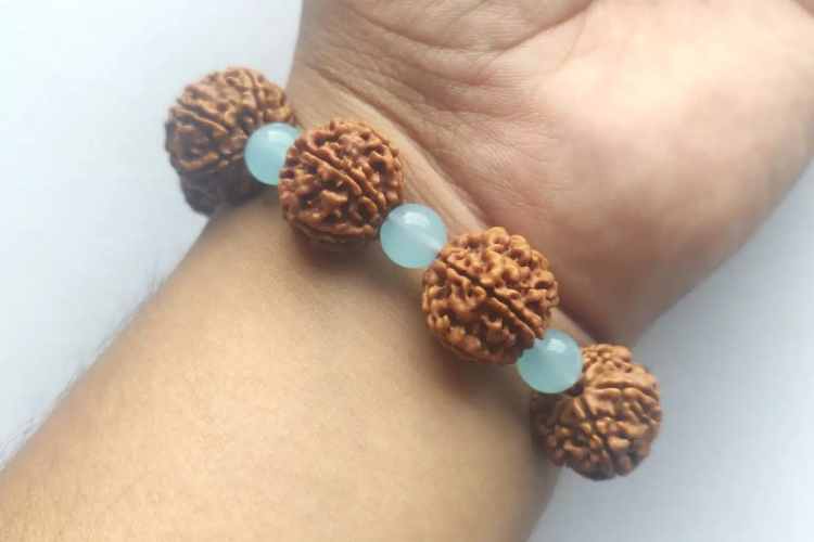 original 6 mukhi rudraksha