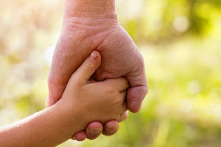 houston adoption attorney