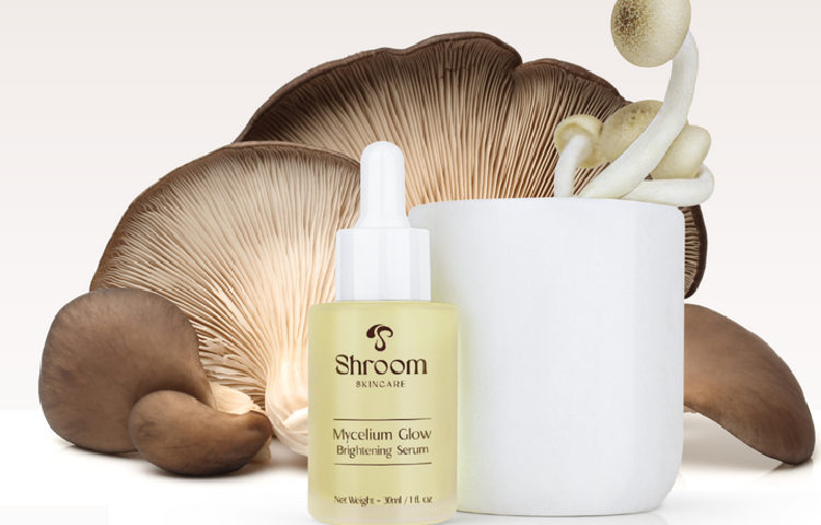 mushroom skin care products
