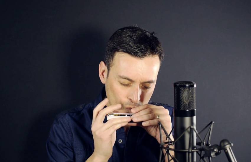 diatonic harmonica set