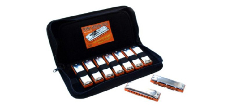 diatonic harmonica set
