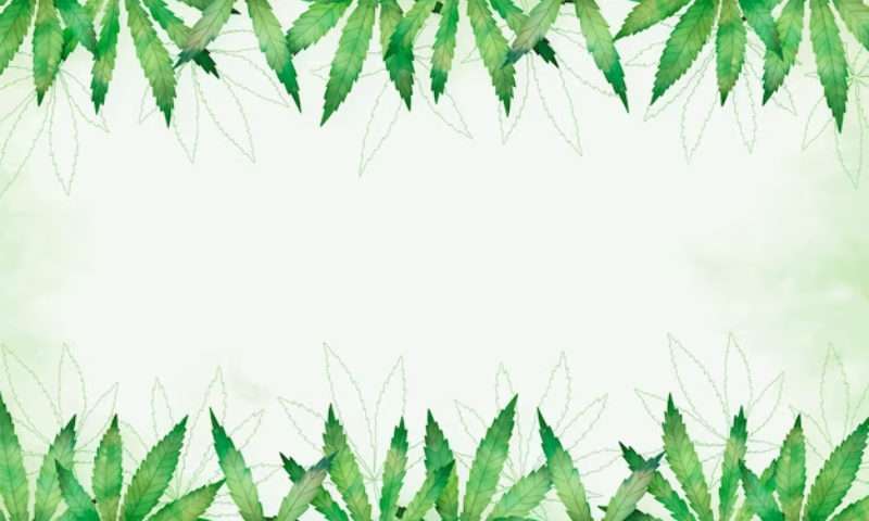 medical marijuana card