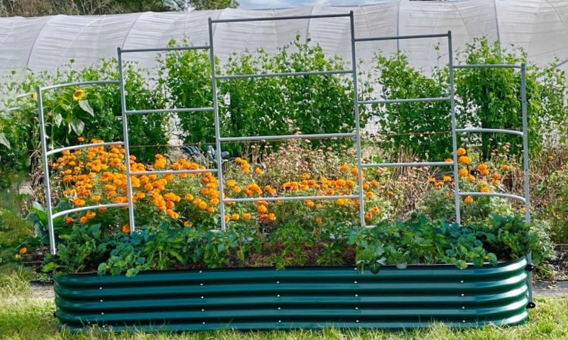 raised garden bed kit