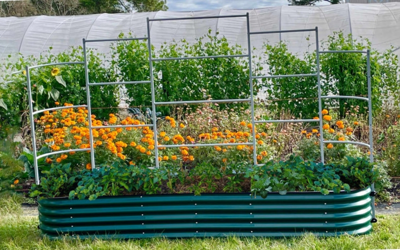 raised garden bed kit