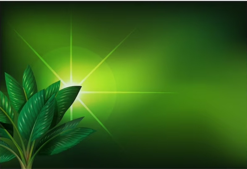 medical marijuana card
