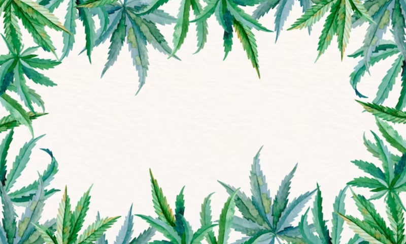 cannabis card