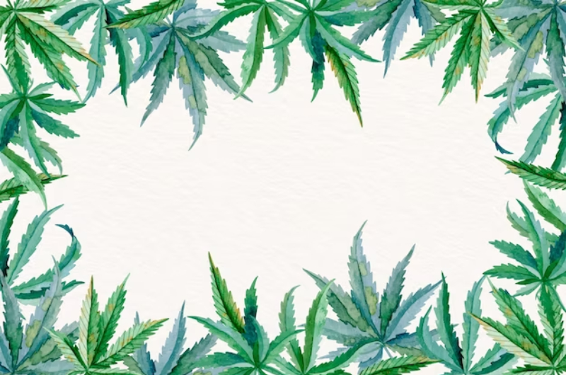 cannabis card