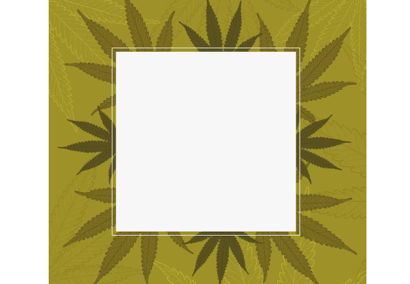 cannabis card 
