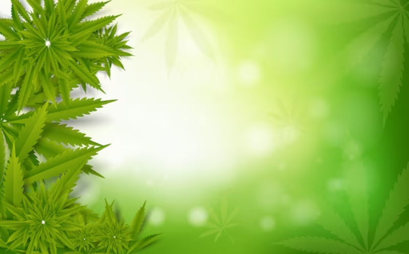cannabis card