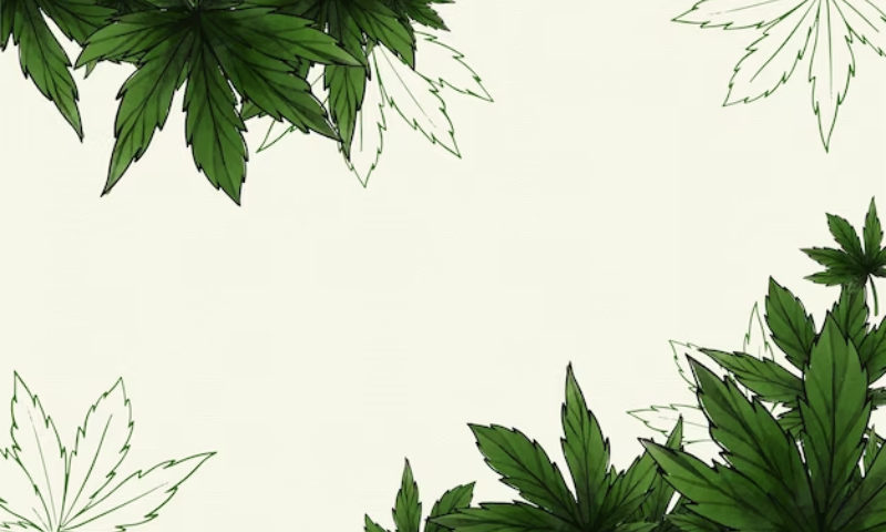 cannabis card