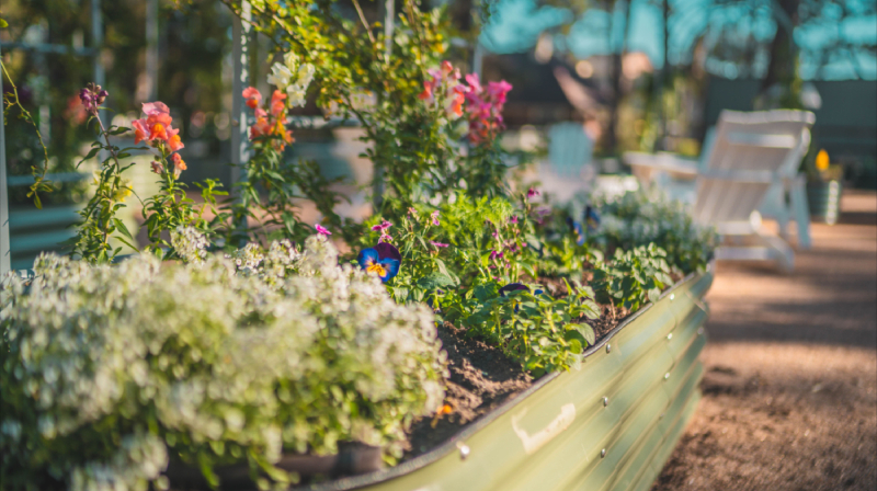 raised beds for sale