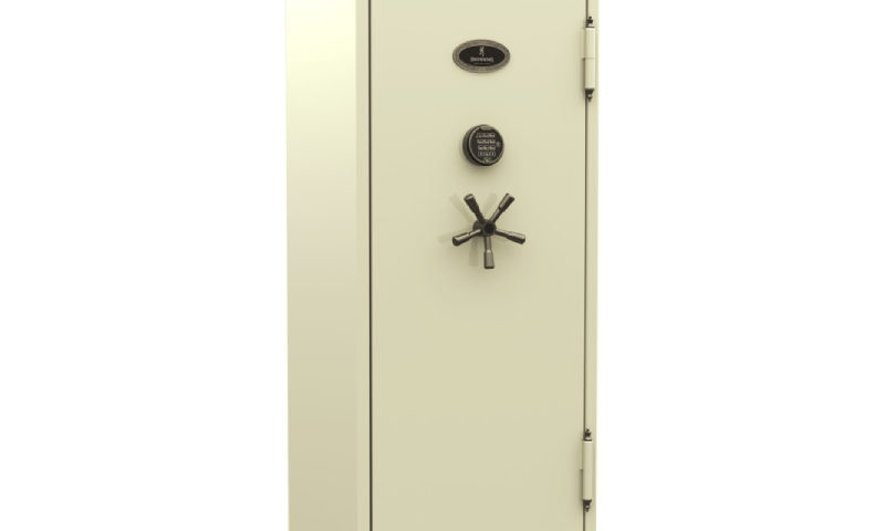 multiple handgun safe
