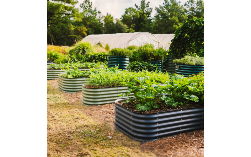 planter raised beds