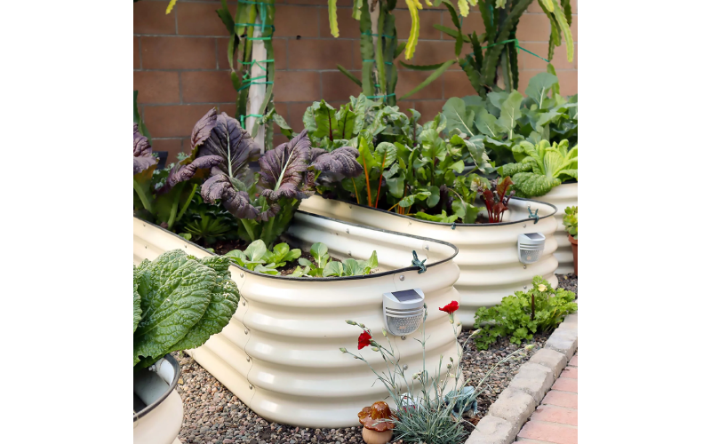 planter raised beds
