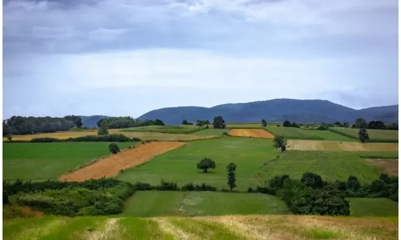 sell your land