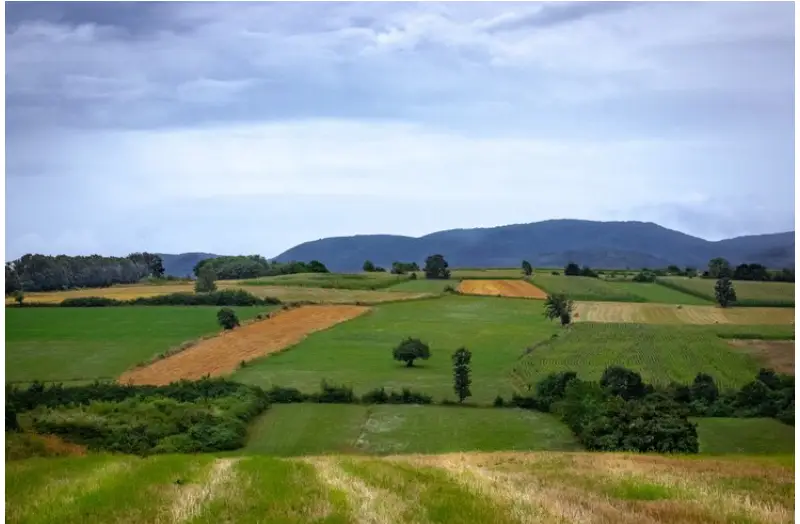 sell your land