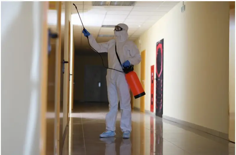 Cockroach Exterminator in Toronto