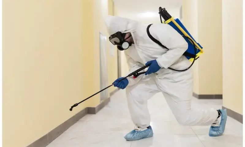 Cockroach Exterminator in Toronto