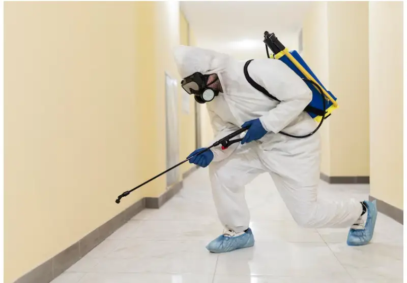 Cockroach Exterminator in Toronto